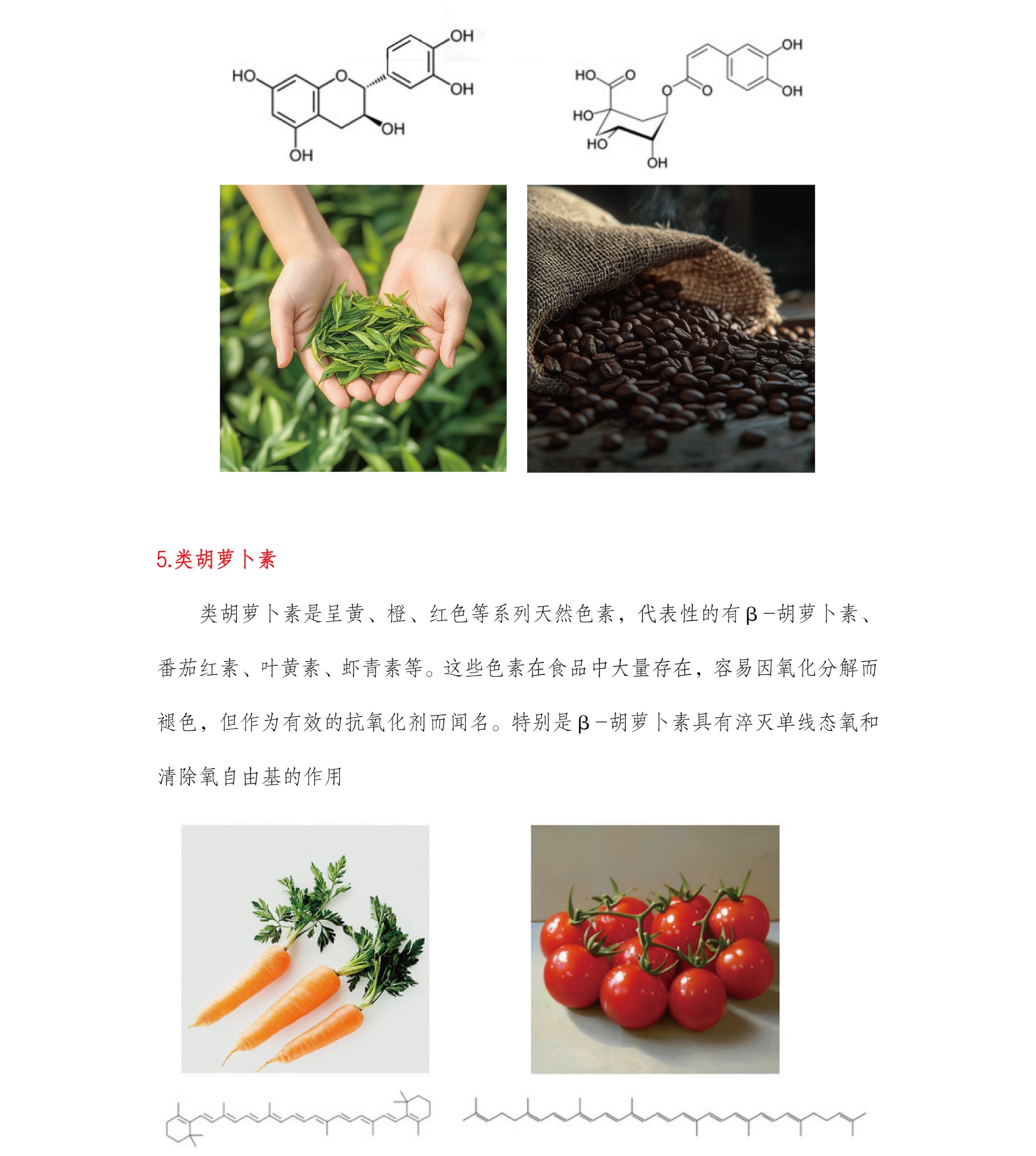 圖片關鍵詞 圖片關鍵詞
